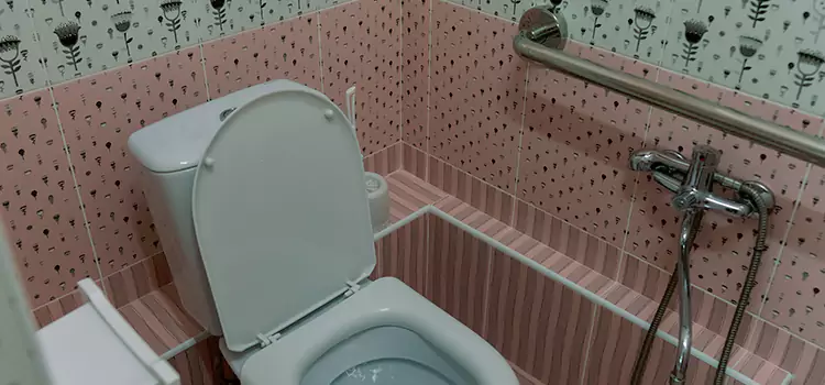 Meeting Diverse Needs With Accessible Restroom Solutions in Parma Heights, OH